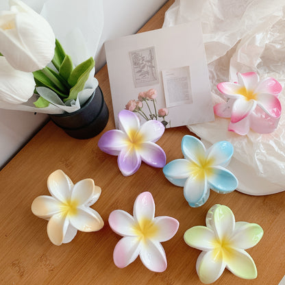 597ad2bd228aab00b7b102cbade0ed47